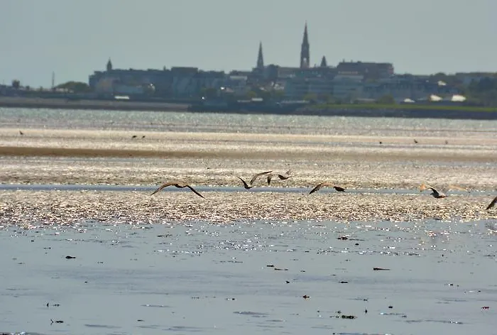 Maldron Merrion Road 더블린