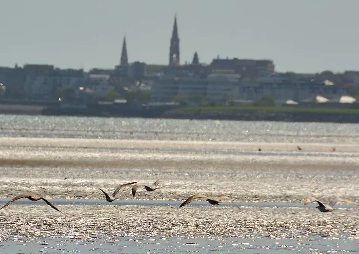 Maldron Merrion Road Dublín